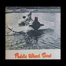 Childs paddle wheel for sale  Diamond Point