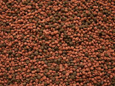 250ml cichliden mix gebraucht kaufen  Kerben, Rüber, Lonnig