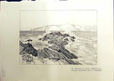 Old print newquay for sale  UK