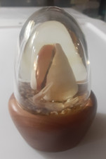 Vintage fiddler crab for sale  Belmont