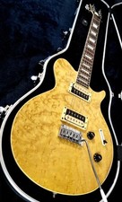 1990s hohner professional for sale  BRISTOL