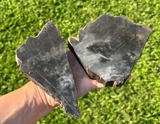 Polished fossil petrified for sale  Coppell