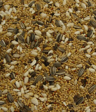 Lovebird parakeet seed for sale  PETERSFIELD