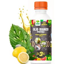 Olio bianco vegetale usato  Tramutola