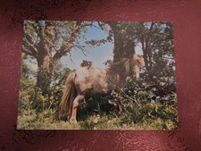 Pferdepostkarte shetlandpony p gebraucht kaufen Pferdepostkarte shetlandpony p gebraucht kaufen  Borna