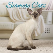 Calendrier 2018 chats d'occasion  Troyes