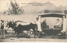 Portugal fg60491 madere d'occasion  France