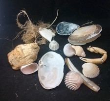 200gm sea shore for sale  TUNBRIDGE WELLS