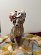 Sphynx cat water for sale  WISHAW