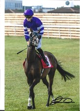 Jack callan signed for sale  EPSOM