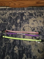 Lot small dog for sale  Brighton