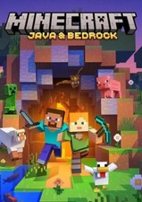 Minecraft java bedrock usato  Ziano Piacentino