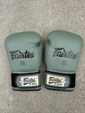 Luvas de treinamento estilo Muay Thai Fairtex "F-DAY" - BGV11 - Feitas à mão na Tailândia comprar usado  Enviando para Brazil