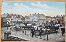 Ives hampshire 1909 for sale  HASSOCKS