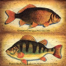 Servietten maritim fisch gebraucht kaufen  Erfurt
