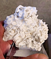 Aragonit eisenblüte kabinetts gebraucht kaufen Aragonit eisenblüte kabinetts gebraucht kaufen  Grünhainichen