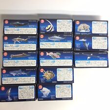 Kaiyodo aquatales kuroshio for sale  Shipping to United Kingdom