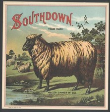 Original southdown sheep for sale  Santa Ana