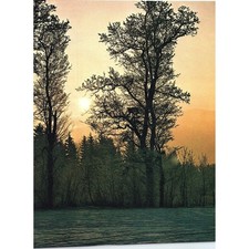 Field trees sunset for sale  Hinckley