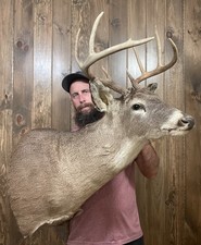 Decent vintage 8pt for sale  Port Matilda