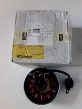 Piaggio 9692975 statore usato  Pescara