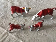 calves bull for sale calves bull for sale Grand Junction