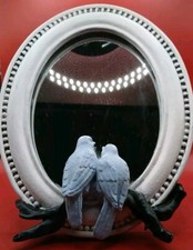 Blue love birds for sale  Cape Canaveral