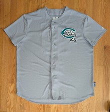 Portland sea dogs for sale  Palatine