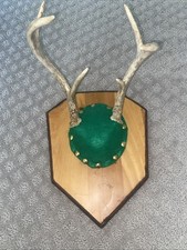 Vintage whitetail deer for sale  Minneapolis
