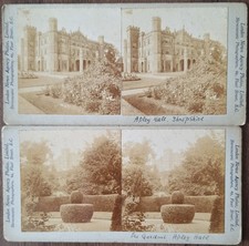 Edwardian stereoscopic views for sale  NOTTINGHAM