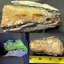Cool chunk opalized for sale  West Palm Beach
