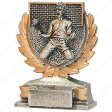 Premio trofeo calcio usato  Capua