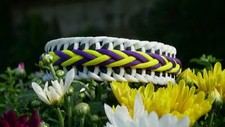Hundehalsband paracord zugstop gebraucht kaufen  Hilgertshausen-Tandern
