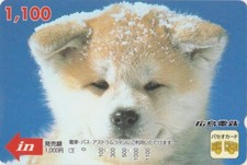 Carte japon animal d'occasion  Mâcon