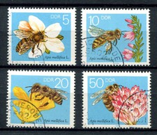 colony honey bees for sale colony honey bees for sale El Paso