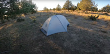 Nemo hornet elite for sale  Idaho City