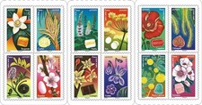 Carnet timbre fleur d'occasion Carnet timbre fleur d'occasion  Pessac