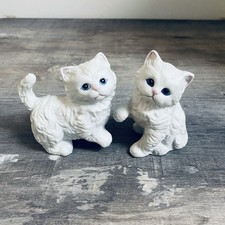 kittens himalayan kittens for sale  Altoona