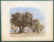 Illustration couleurs olivades d'occasion  Martigues