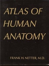 Atlas human anatomy gebraucht kaufen  Stuttgart