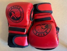 Martial arts training d'occasion  Guichen