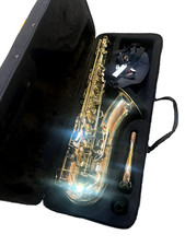 Selmer model sts301 for sale  Banner Elk