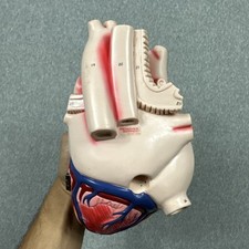 Vintage denoyer geppert for sale  El Paso