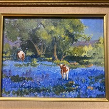 Framed jodie baldwin for sale  Ripley