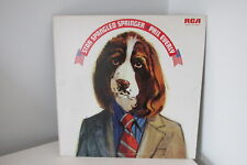 Star spangled springer for sale  OXFORD