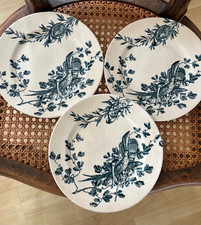 Assiettes plates terre d'occasion  Veigné