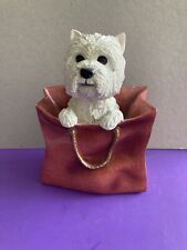 Westie dog west for sale  SHANKLIN