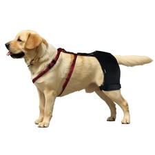 Lispoo dog hip for sale  Phoenixville
