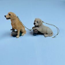 Set yellow labradors for sale  Sandwich