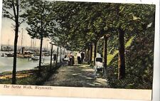 Bv64. antique postcard. for sale  BRIGHTON
